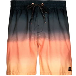 Billabong ALL DAY FADE LB-Homme Maillots & Shorts De Bain