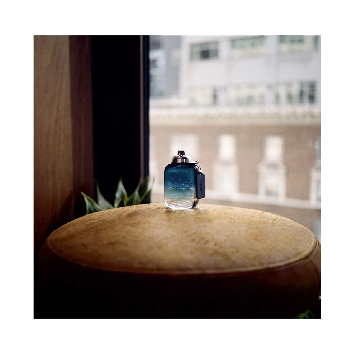 Coach Blue Eau De Toilette Vaporisateur-Homme Parfums