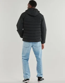 Element CLASSIC INSULATOR-Homme Manteaux
