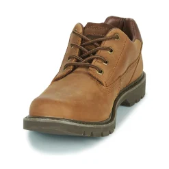 Caterpillar COLORADO LOW 2.0 / SHOES-Homme Derbies & Richelieu