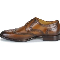 Brett & Sons Derbies 4676-NATUR-BRANDY-Homme Derbies & Richelieu