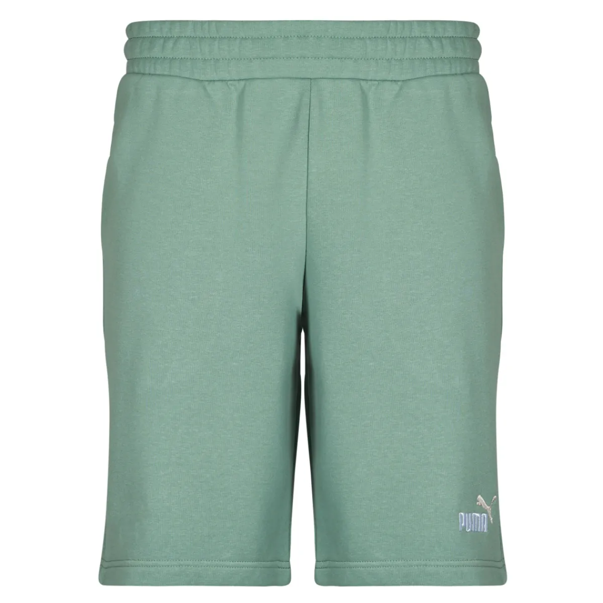 Puma ESS 2 COLOR LOGO SHORT-Homme Shorts & Bermudas