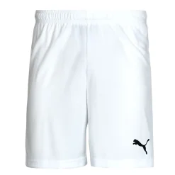 Puma ESS ACTIVE WOVEN SHORT-Homme Shorts & Bermudas