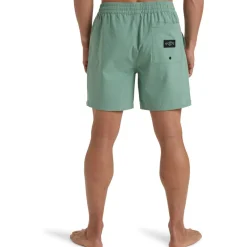 Billabong Every Other Day-Homme Maillots & Shorts De Bain