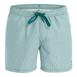 Quiksilver Everyday Deluxe 15"-Homme Maillots & Shorts De Bain