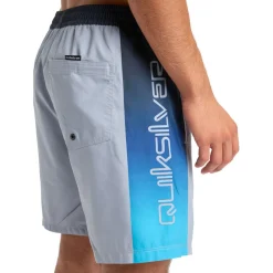 Quiksilver Everyday Holmes Volley 17