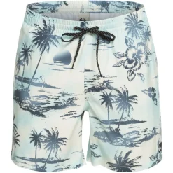 Quiksilver Everyday Mix 17"-Homme Maillots & Shorts De Bain