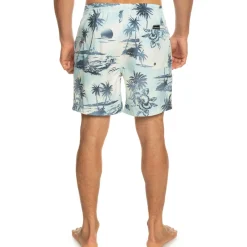 Quiksilver Everyday Mix 17