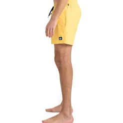 Quiksilver Everyday Solid Volley 15