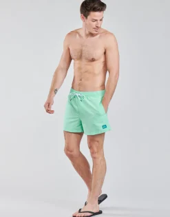 Quiksilver EVERYDAY VOLLEY 15-Homme Maillots & Shorts De Bain