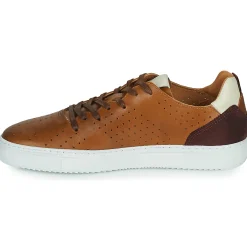 Carlington FREDDI-Homme Sport Indoor