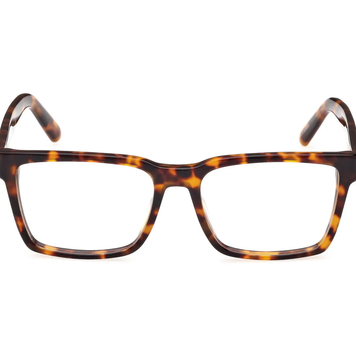 Gcds GD5033 Cadres Optiques, Havana, 53 mm-Homme Lunettes De Soleil