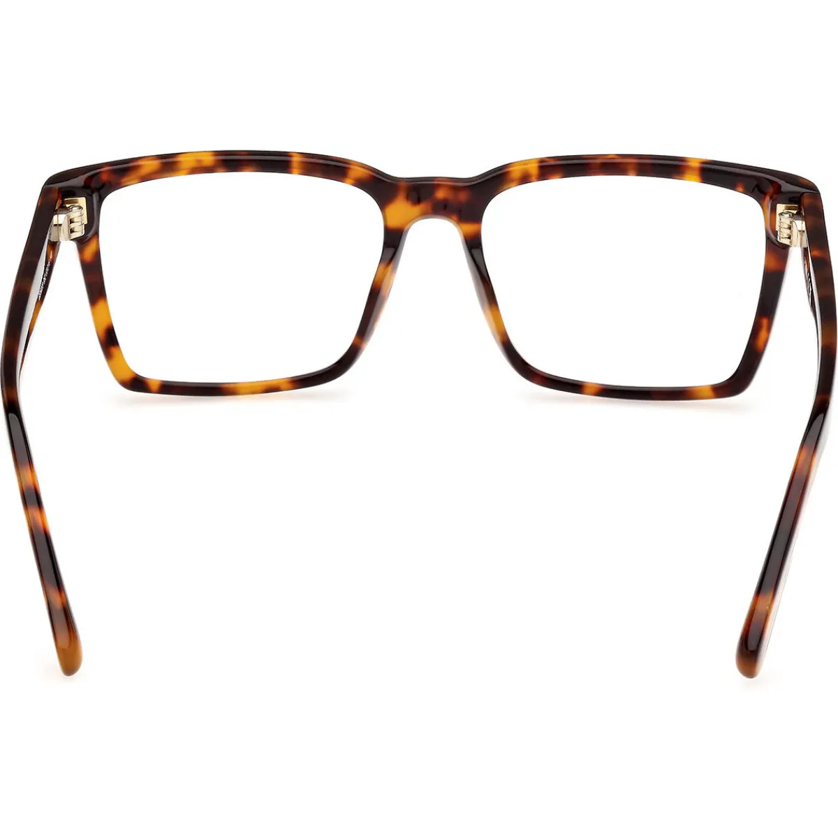 Gcds GD5033 Cadres Optiques, Havana, 53 mm-Homme Lunettes De Soleil
