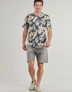 Jack & Jones JJITONY-Homme Shorts & Bermudas