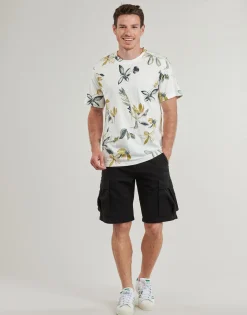Jack & Jones JPSTCOLE-Homme Shorts & Bermudas