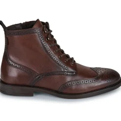 Carlington LOUPIN-Homme Bottines / Boots