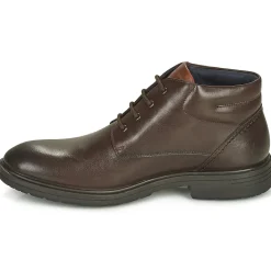 Fluchos MAGNUS-Homme Bottines / Boots