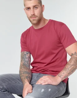 BOTD MATILDO-Homme T-Shirts & Polos