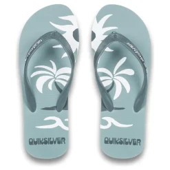 Quiksilver Molokai Screen-Homme Tongs