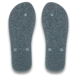 Quiksilver Molokai Screen-Homme Tongs