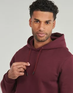 Only & Sons ONSCERES HOODIE-Homme Sweats & Polaires