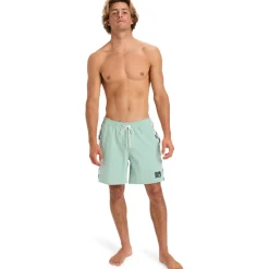 Quiksilver Original Arch Volley 17