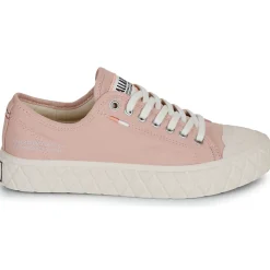 Palladium PALLA ACE CVS ORG-Homme Randonnée