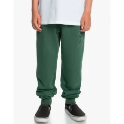 Quiksilver Pantalons cargo 9563758133587Verde-Homme Pantalons