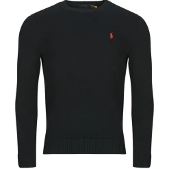 Polo Ralph Lauren PULL COL ROND EN COTON EPAIS-Homme Pulls & Gilets