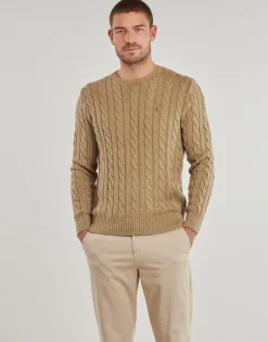 Polo Ralph Lauren PULL COL ROND MAILLE TORSADEE-Homme Pulls & Gilets