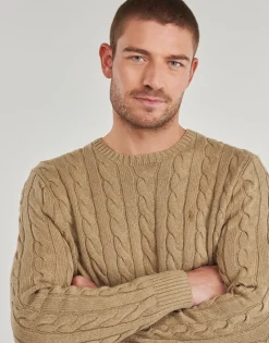 Polo Ralph Lauren PULL COL ROND MAILLE TORSADEE-Homme Pulls & Gilets