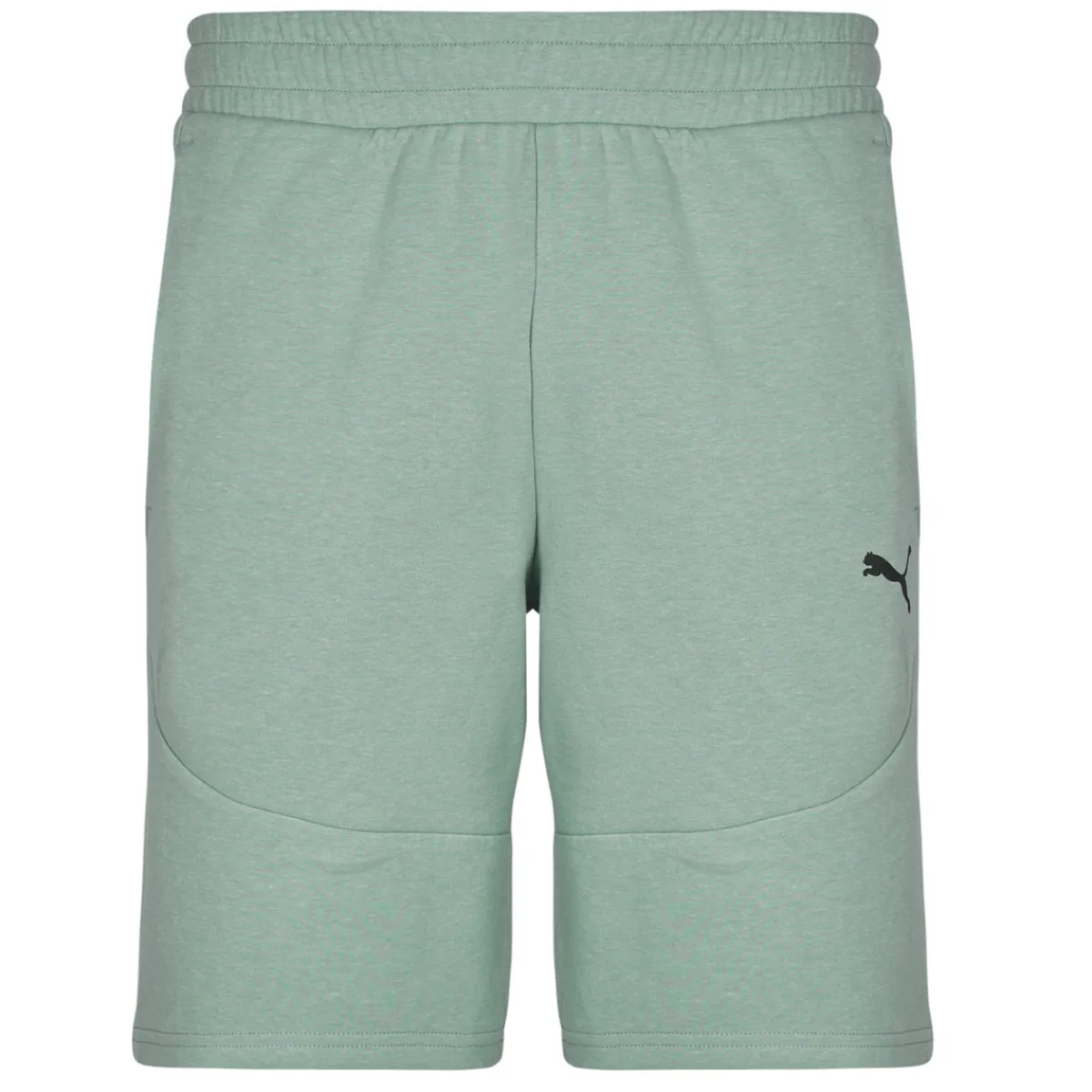 Puma TECH SHORTS-Homme Shorts & Bermudas