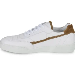 Pellet RAPHAEL-Homme Baskets Mode