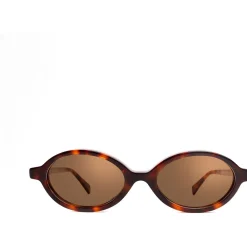 Xlab Rodi photochromique couleur écaille/verres neutres marron p-Homme Lunettes De Soleil