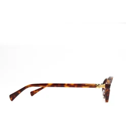 Xlab Rodi photochromique couleur écaille/verres neutres marron p-Homme Lunettes De Soleil
