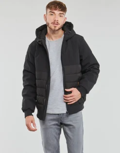 Kaporal SASSY-Homme Manteaux