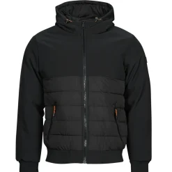 Kaporal SASSY-Homme Manteaux