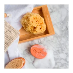 Dr. Tree Shampooing Et Gel Solides Hydratation Pour Enfants Etui Peaux S-Homme Soins Corps & Bain