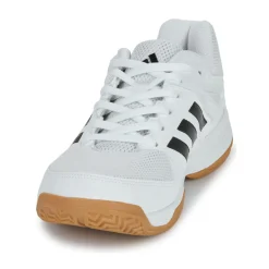 adidas Speedcourt M-Homme Sport Indoor|Chaussures De Sport