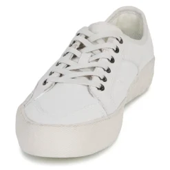 Globe SURPLUS-Homme Bmx / Skate