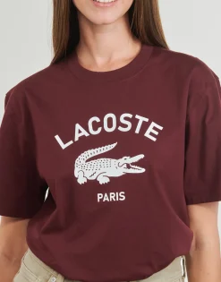 Lacoste TH2733-Homme T-Shirts & Polos