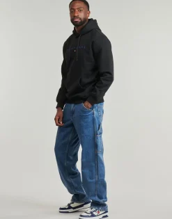 Tommy Jeans TJM REG LINEAR LOGO HOODIE EXT-Homme Sweats & Polaires|Sweats & Polaires