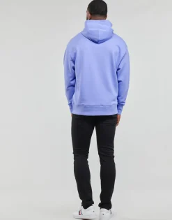 Tommy Jeans TJM RLX XS BADGE HOODIE-Homme Sweats & Polaires