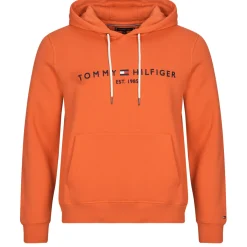 Tommy Hilfiger TOMMY LOGO HOODY-Homme Sweats & Polaires|Sweats & Polaires