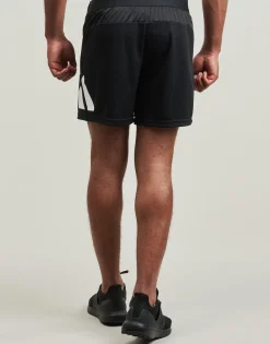 adidas Train Essentials Logo Training Shorts-Homme Shorts & Bermudas