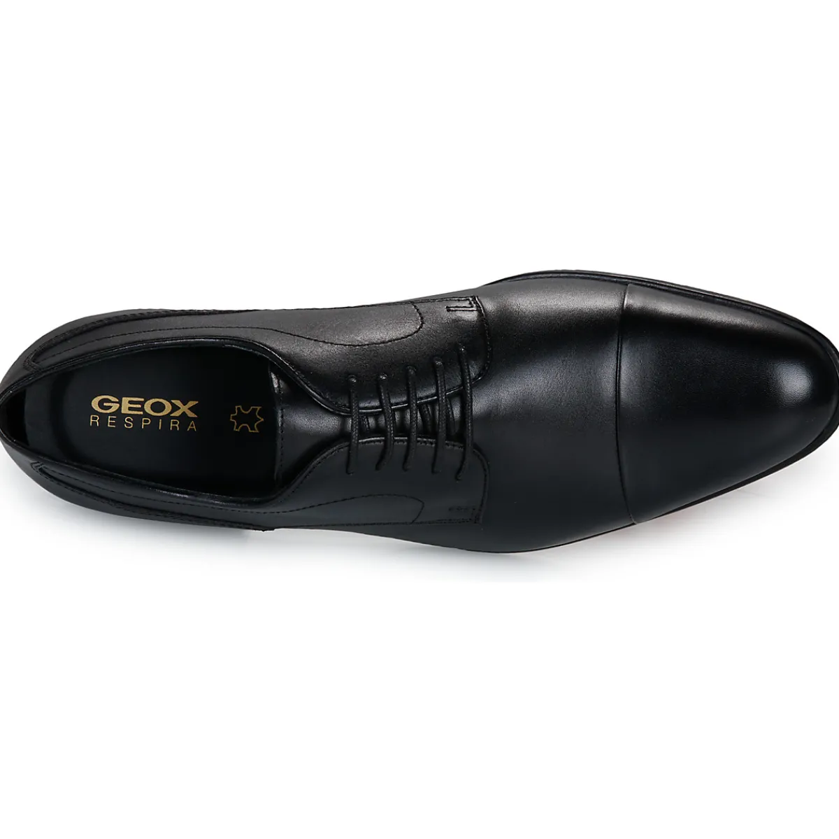 Geox U IACOPO-Homme Derbies & Richelieu