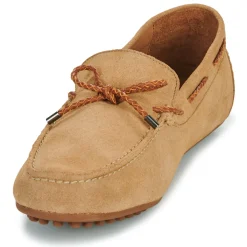 Brett & Sons 4389-VEL-BEGE--Homme Mocassins & Chaussures Bateau